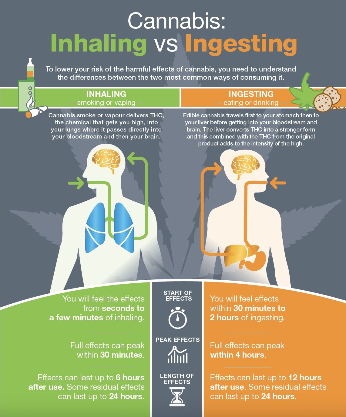 Image is from CCSA’s Knowing Your Cannabis Guide.